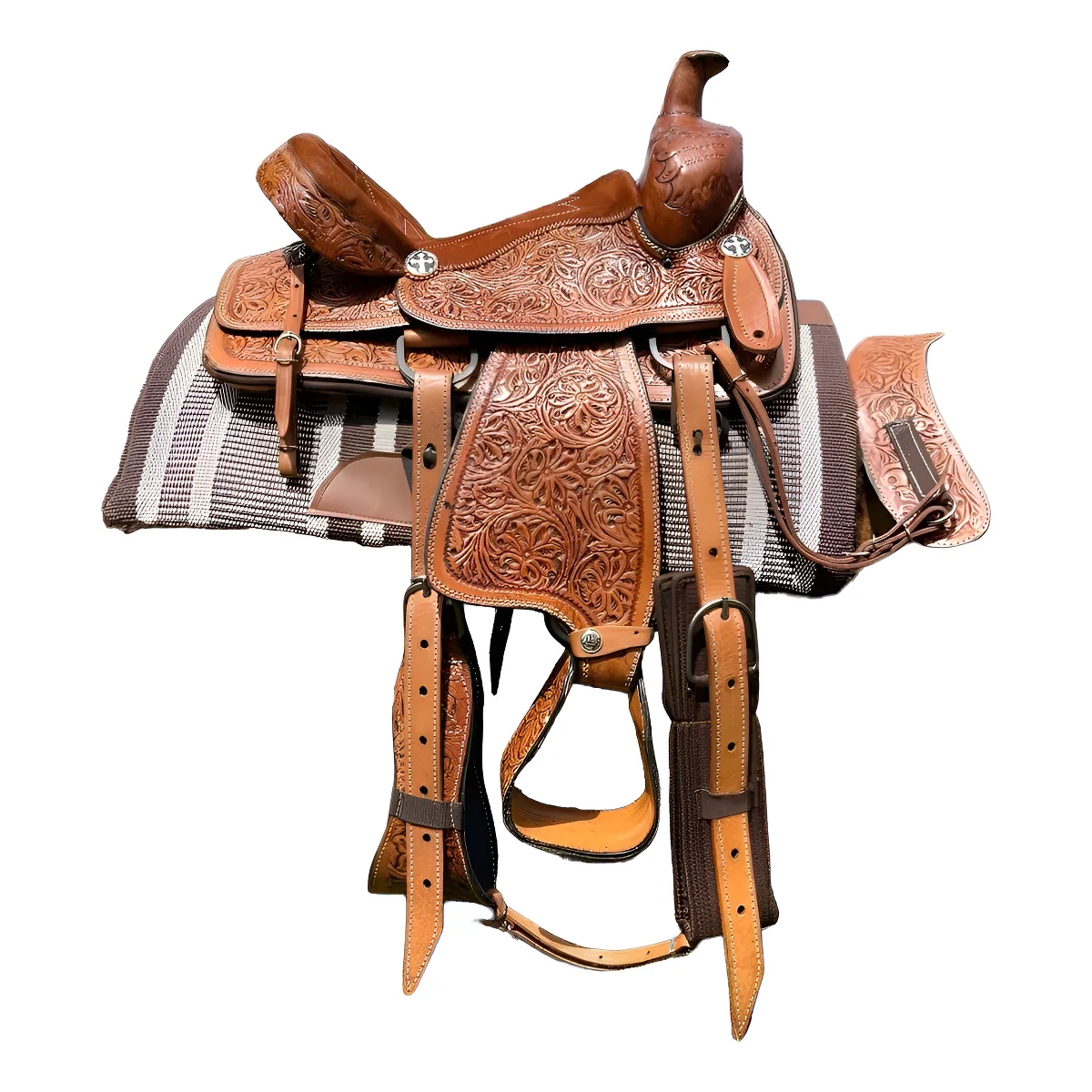 Cela Para Laçada Quarto De Milha Americana